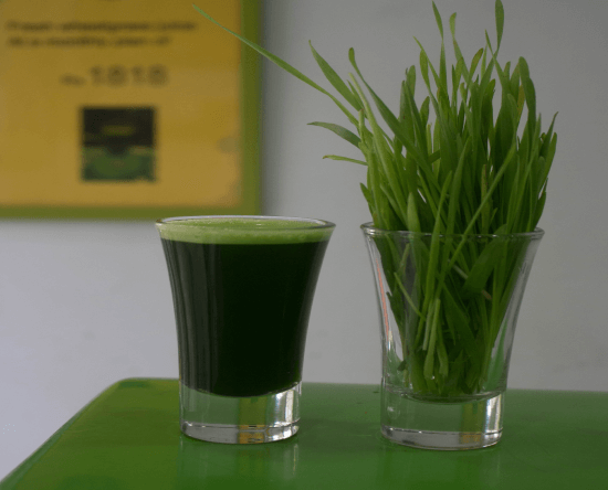 Image of a wheatgrass juice shot next to some freshly harvested wheatgrass